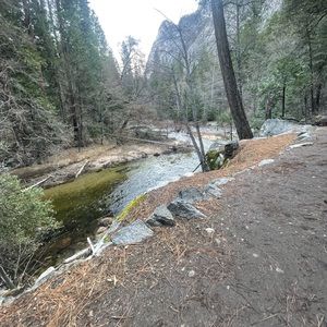 Meet your Posher, Daisy